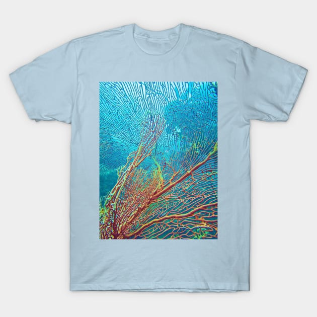 BENEATH THE CORAL PLANE T-Shirt by dumbodancer